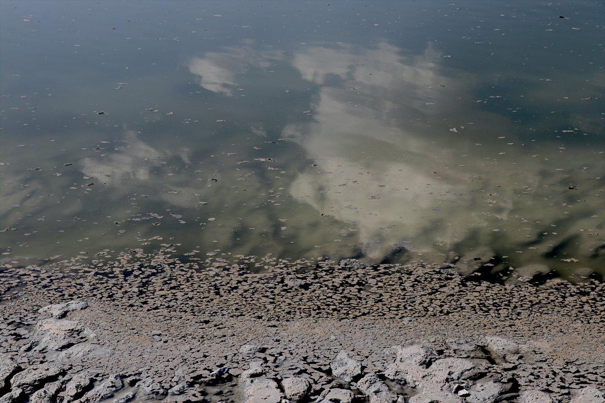 Burdur Gölü'nde alg patlaması