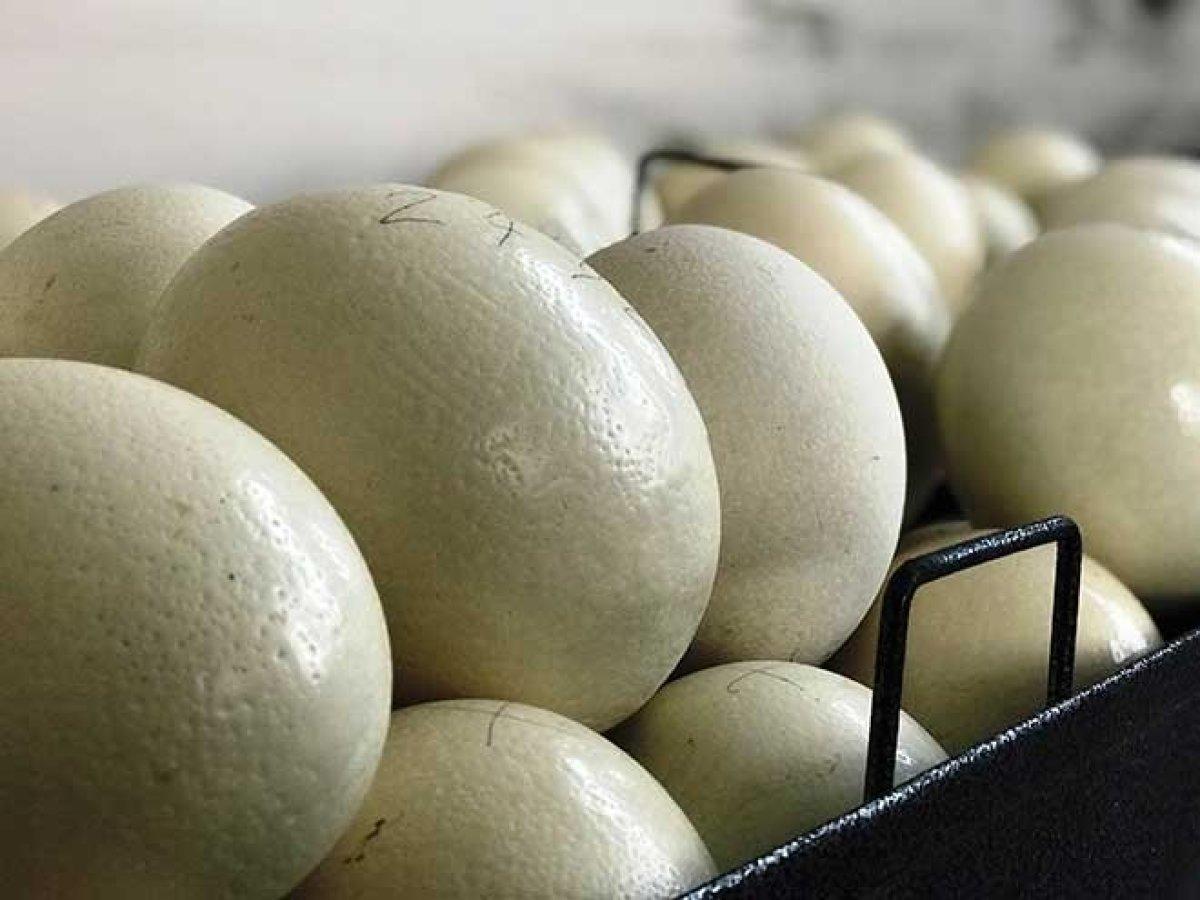 Mimar Sinan hakkında 4 esrarengiz bilgi