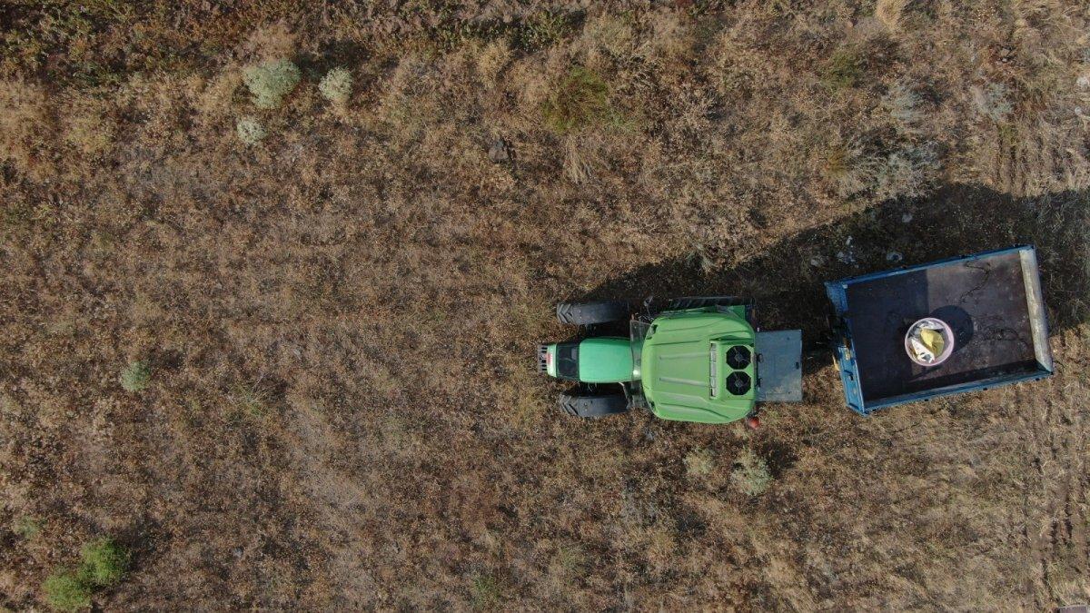 ABD’deki işini bıraktı, dedesinden kalma topraklarda tarıma başladı