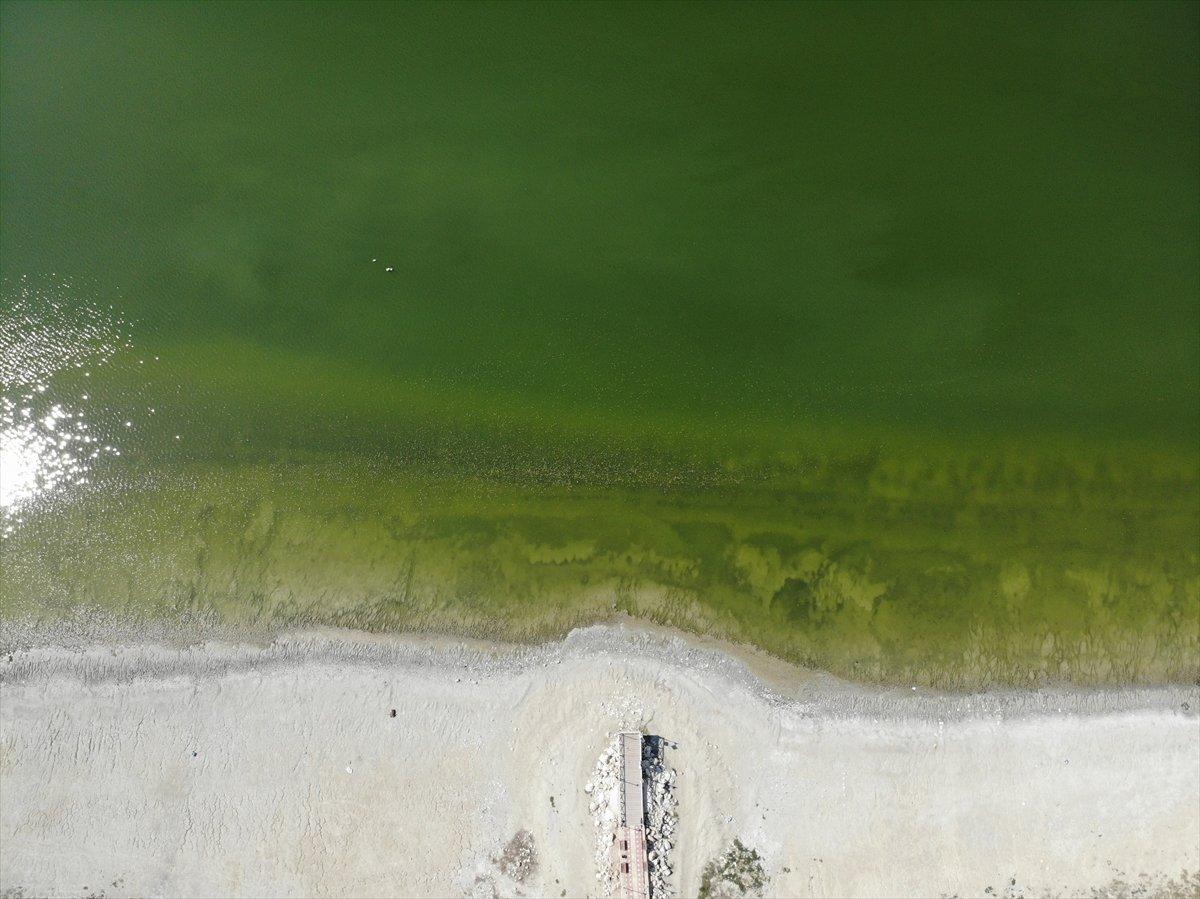 Burdur Gölü'nde alg patlaması