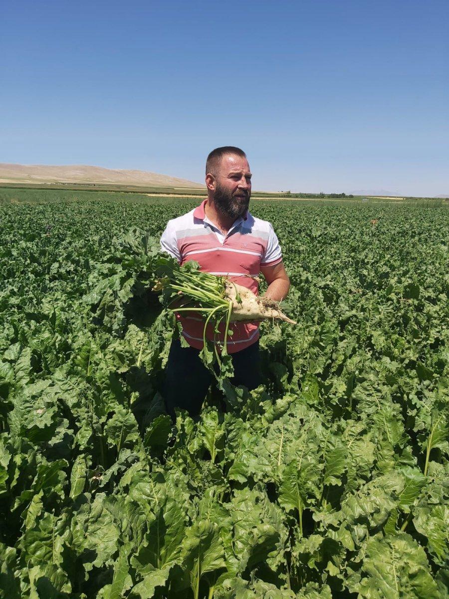 Yavuzoğulları tarım sırrını açıkladı