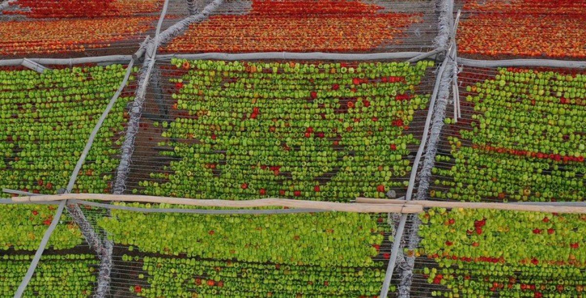 Kurutmalık telaşı başladı