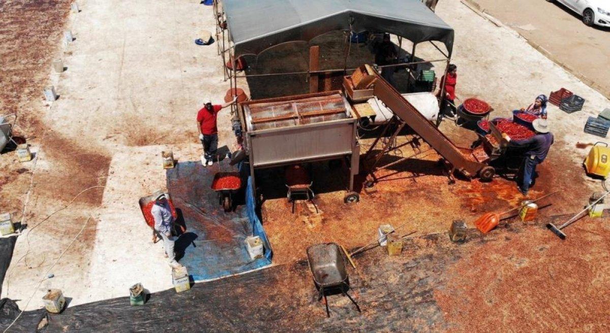 Şanlıurfa’da acı mesaisi başladı