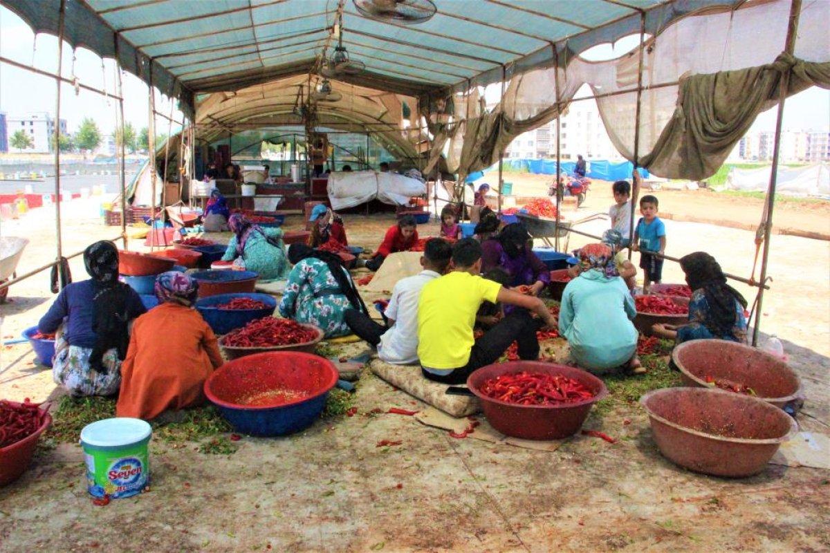 Şanlıurfa’da acı mesaisi başladı