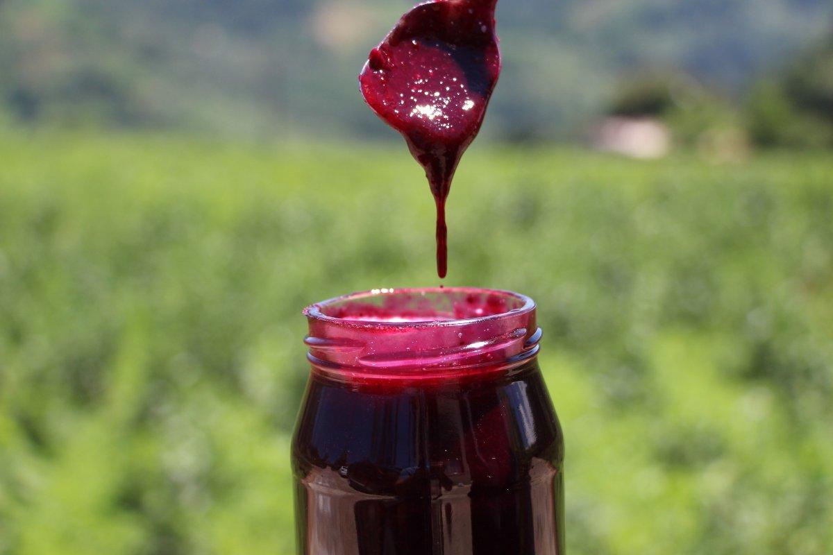 Trabzon'da çay bahçesinde mavi yemiş yetiştirip 300 bin TL kazanıyor