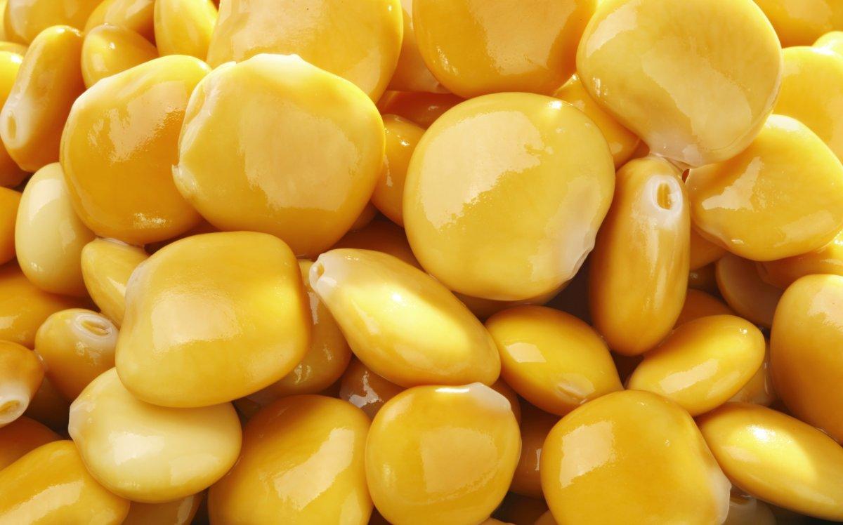 En çok protein içeren 15 besin