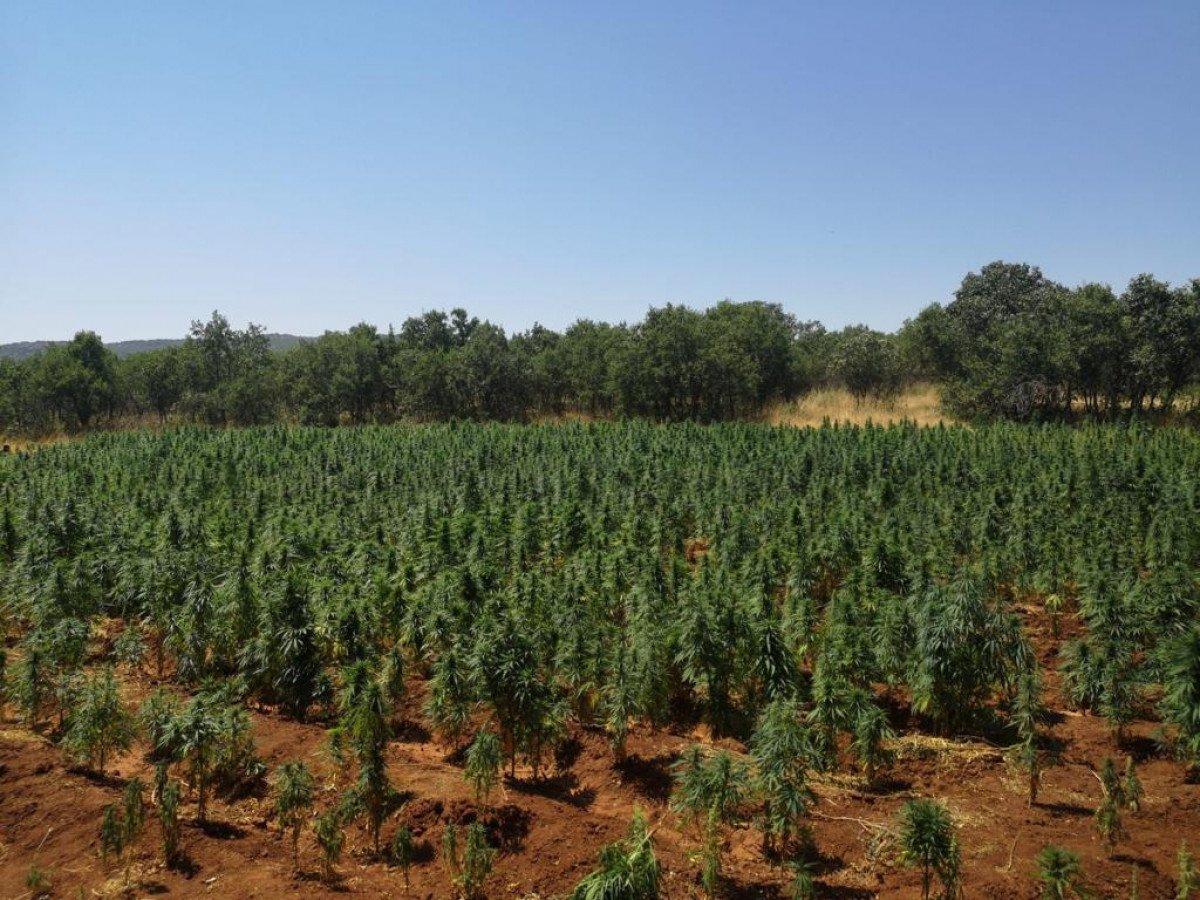 Diyarbakır'da Eren Abluka-30 operasyonu başlatıldı