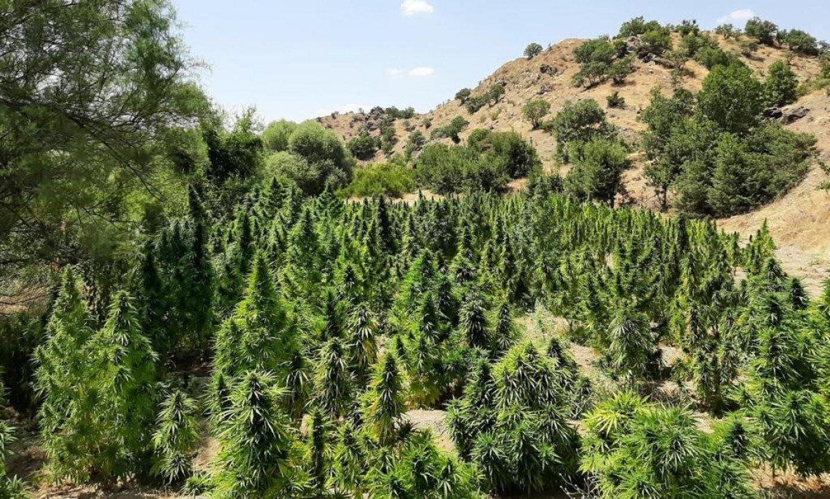 Diyarbakır'da Eren Abluka-30 operasyonu başlatıldı