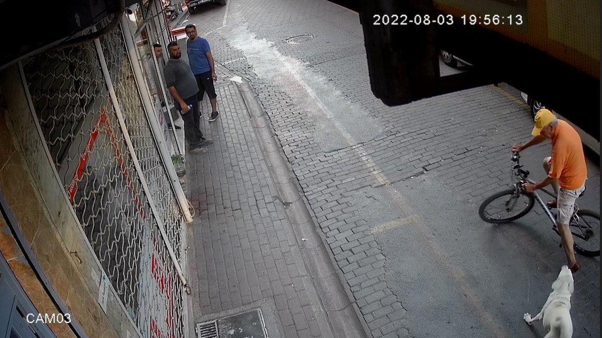 Aydın'da, başıboş sokak köpeği 2 kişiyi yaraladı