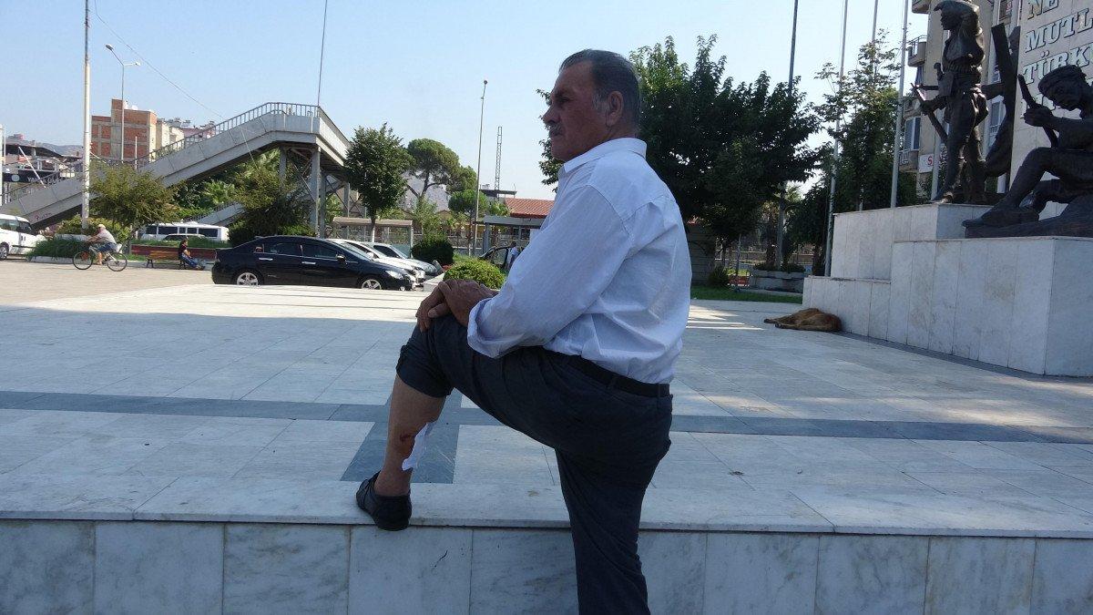 Aydın'da, başıboş sokak köpeği 2 kişiyi yaraladı