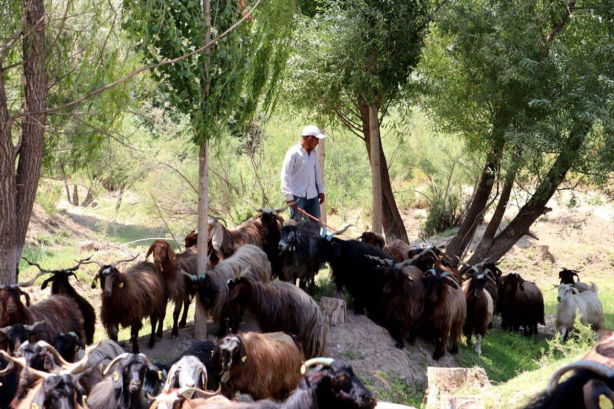 Cizre'de sıcaklık 47,4 derece ölçüldü