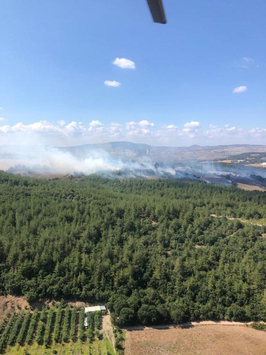 Çanakkale'de orman yangını çıktı