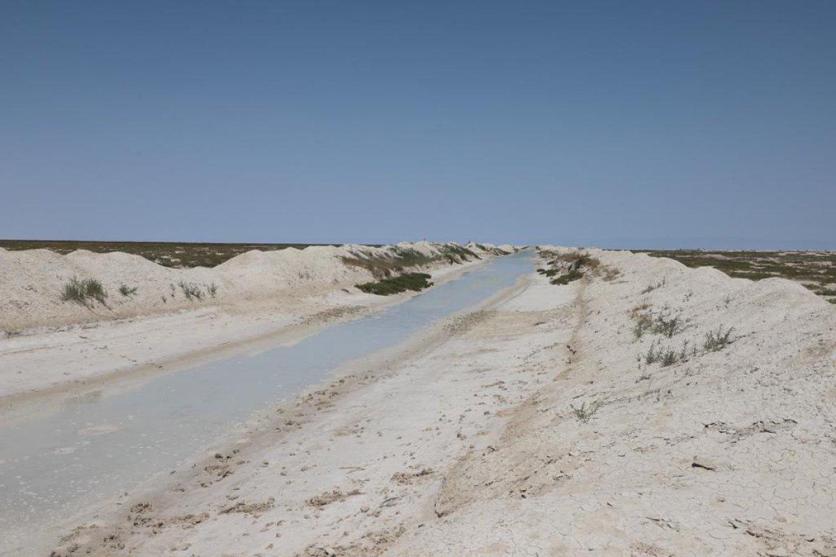 Tuz Gölü'nde flamingolara can suyu