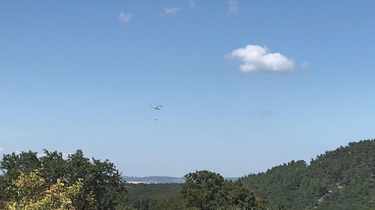 Çanakkale'de orman yangını çıktı