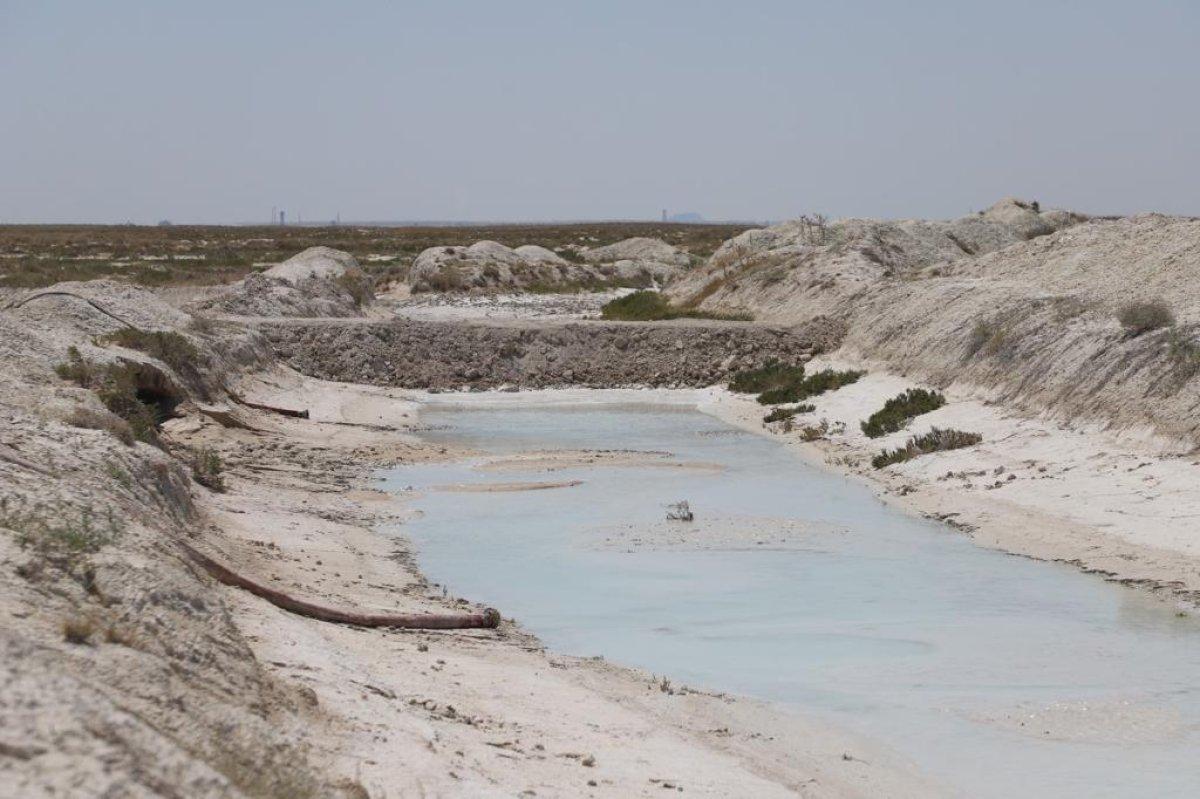 Tuz Gölü'nde flamingolara can suyu