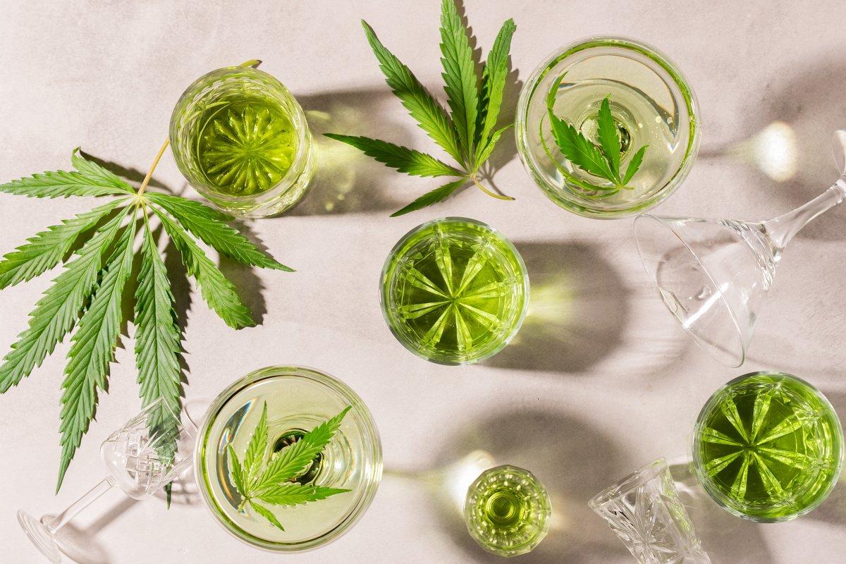 Rize'de kenevir fabrikası hazırlığı