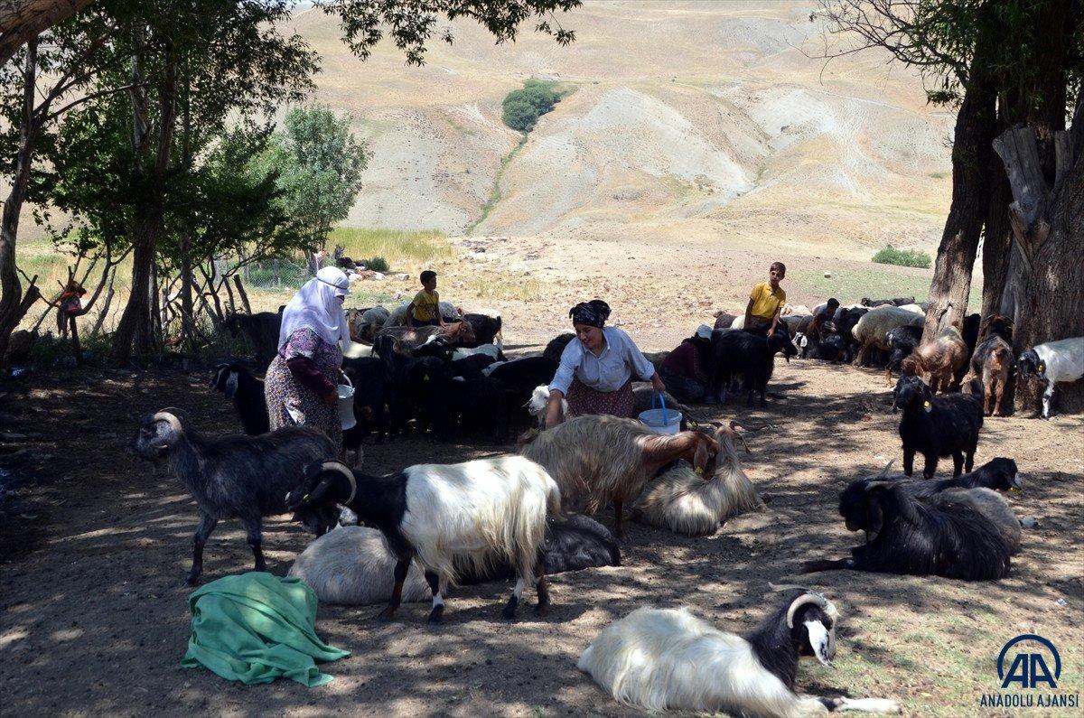 Muş'ta yaylaya çıkan kadınların zorlu mesaisi sürüyor