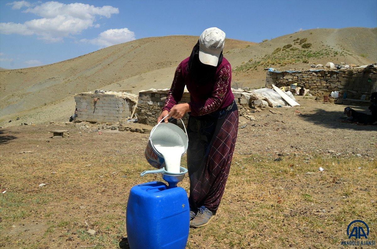 Muş'ta yaylaya çıkan kadınların zorlu mesaisi sürüyor