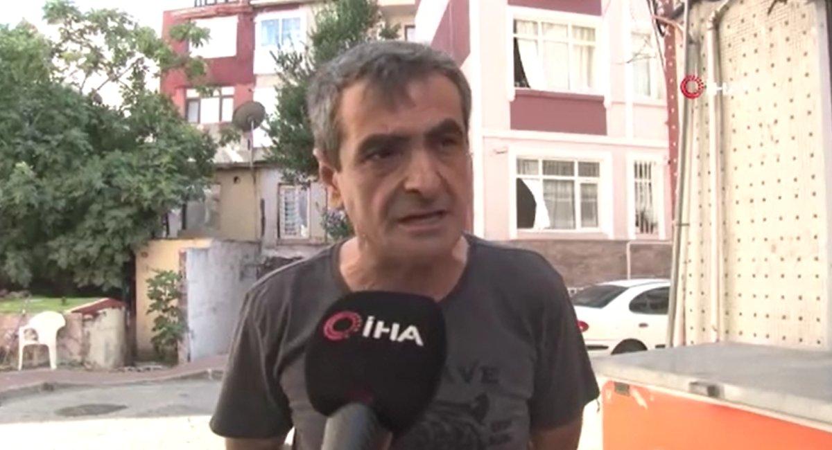 Fatih’te sokağa tedbirsiz bırakılan pitbull cinsi köpeğin kediyi öldürme anı kamerada