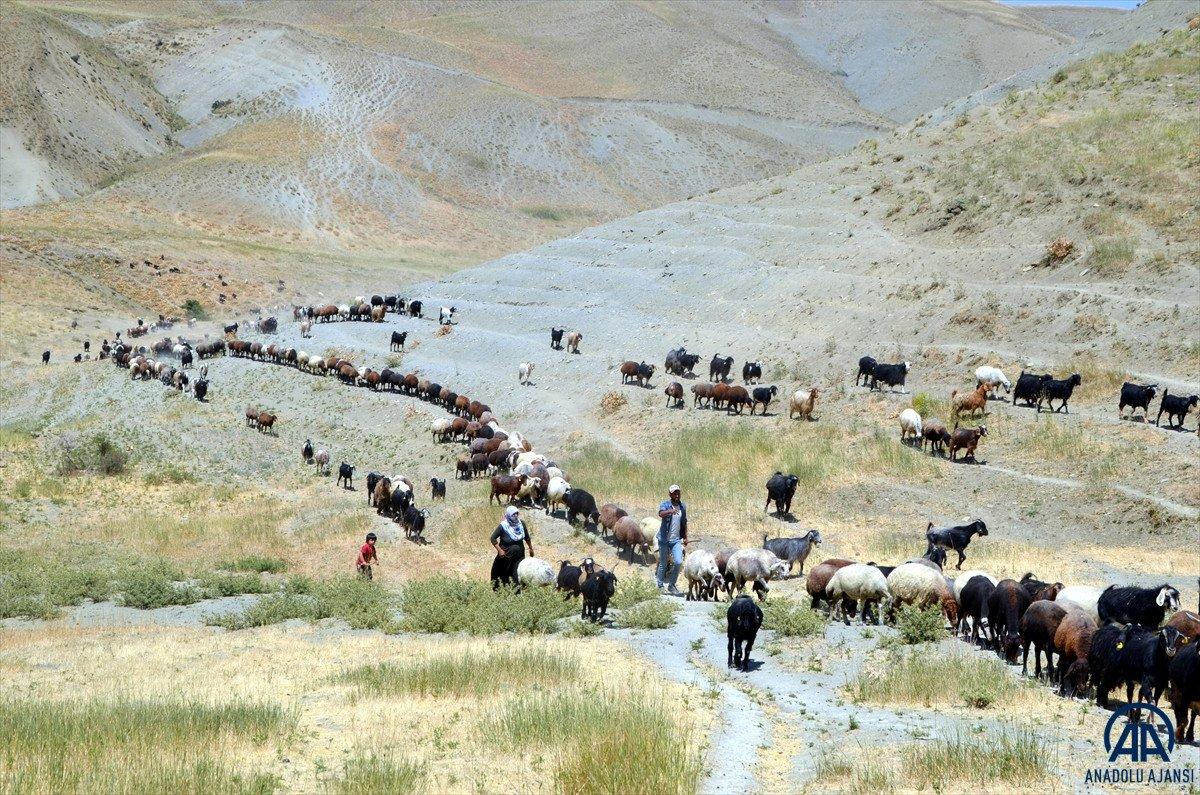 Muş'ta yaylaya çıkan kadınların zorlu mesaisi sürüyor