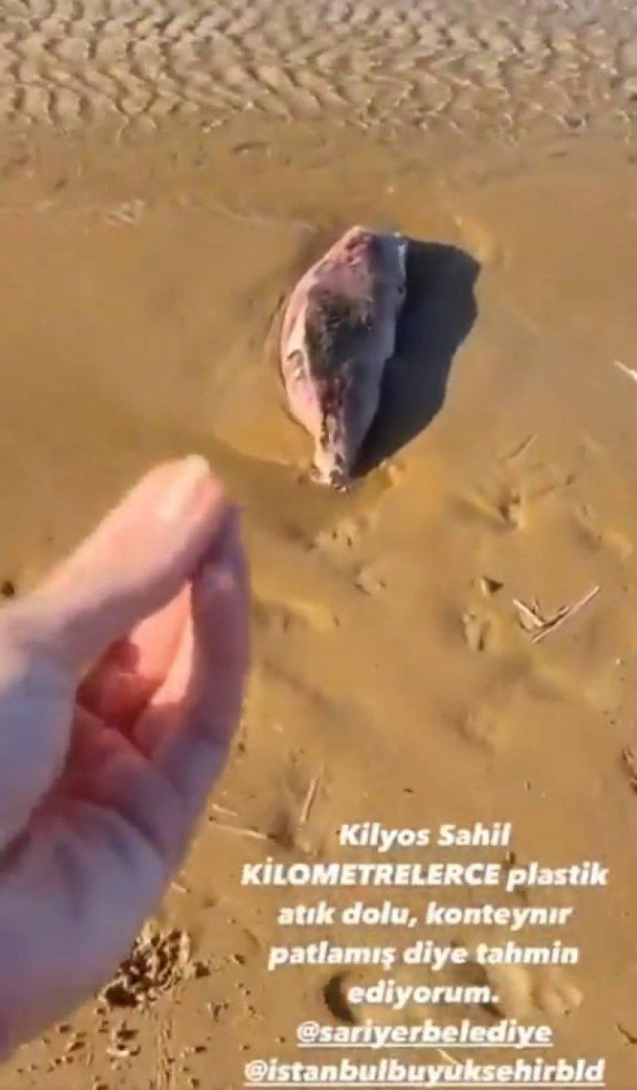 Yasemin Kay Allen'den plastik atık tepkisi