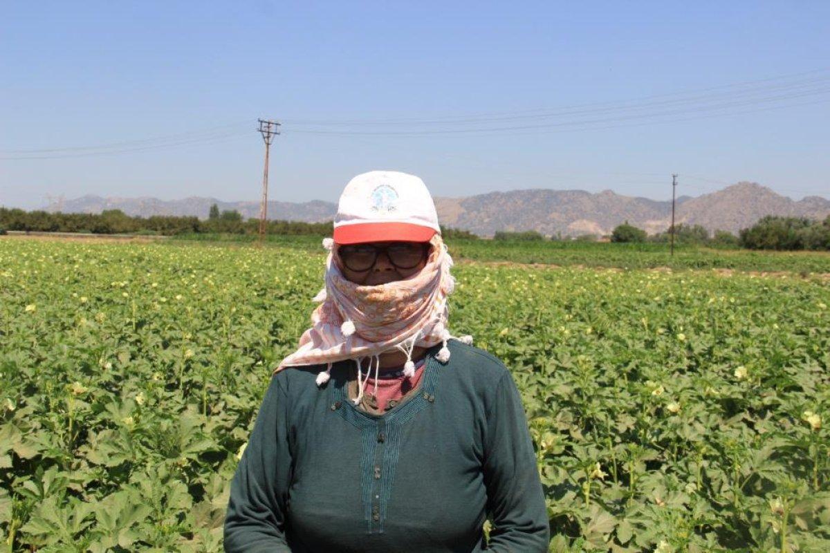 Aydın'da tarlada çalışan kadınlar: Masa başında oturan kadınlar bu zorluğu anlayamazlar