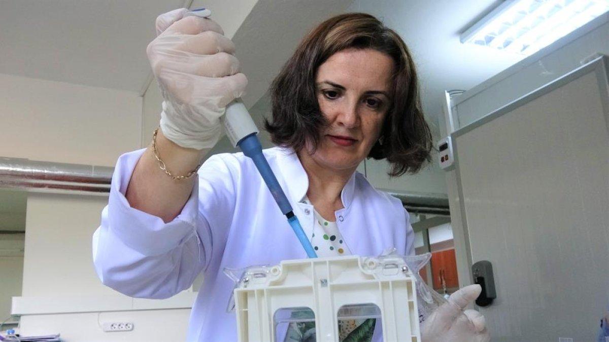 Tokat'ta bulunan kaplıca suları, kanserli hücreleri öldürüyor