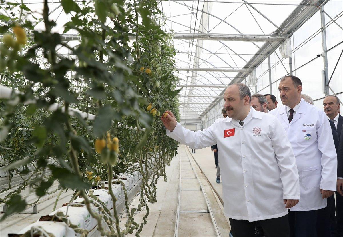 Mustafa Varank, Sakarya'da Seracılık Mükemmeliyet Merkezi'ni gezdi
