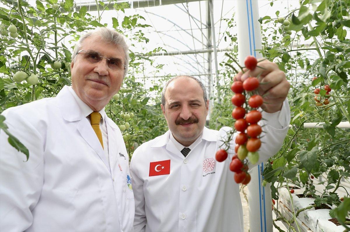 Mustafa Varank, Sakarya'da Seracılık Mükemmeliyet Merkezi'ni gezdi