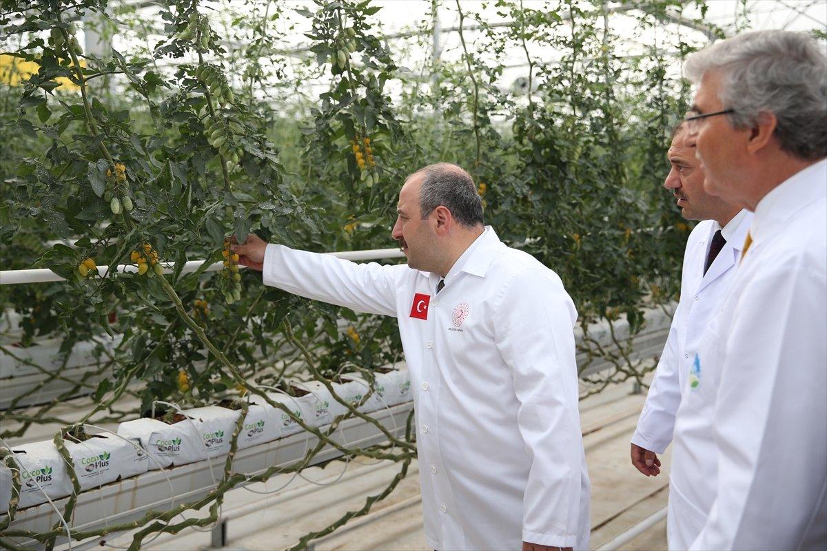 Mustafa Varank, Sakarya'da Seracılık Mükemmeliyet Merkezi'ni gezdi