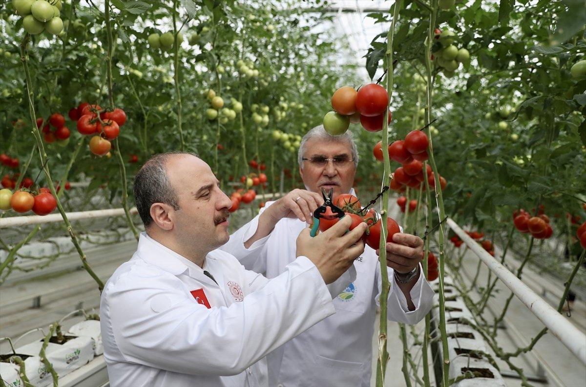 Mustafa Varank, Sakarya'da Seracılık Mükemmeliyet Merkezi'ni gezdi
