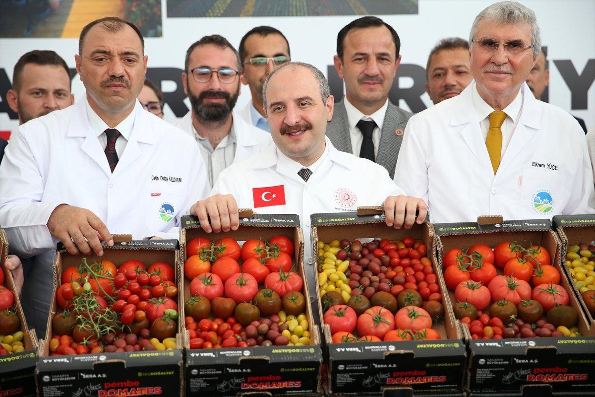 Mustafa Varank, Sakarya'da Seracılık Mükemmeliyet Merkezi'ni gezdi