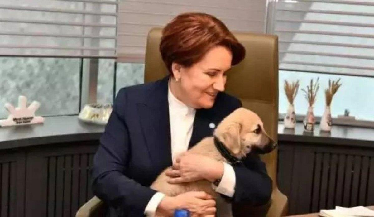 Sol’un tartışılan Meral Akşener haberi