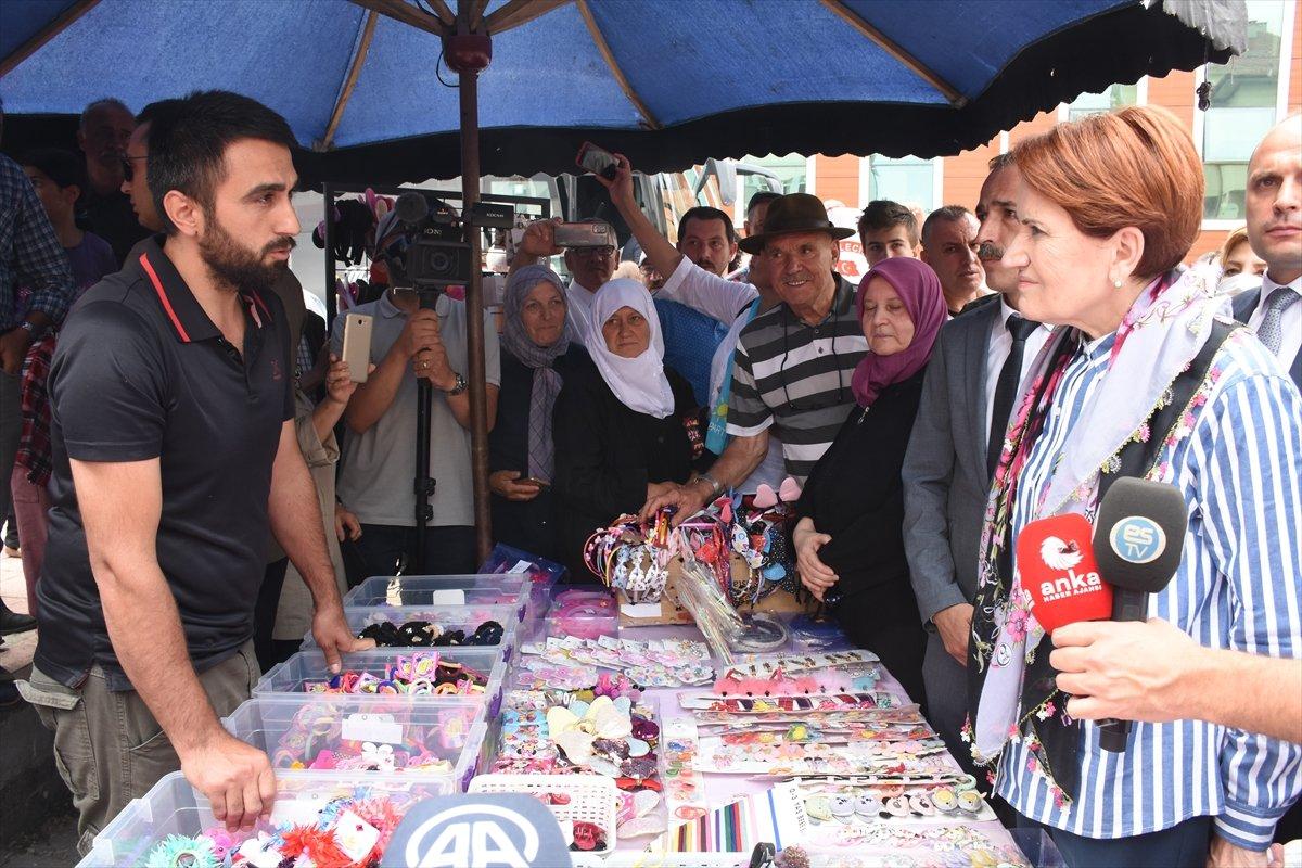 Meral Akşener'i sokak köpeği ısırdı
