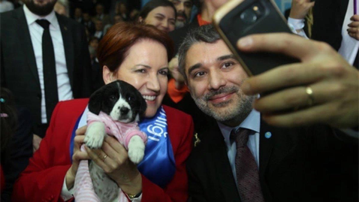 Meral Akşener'i sokak köpeği ısırdı