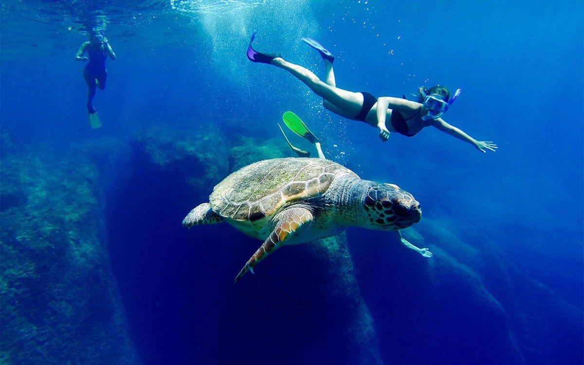 İztuzu Plajı'nda caretta carettalara ‘dokunmayın’ uyarısı