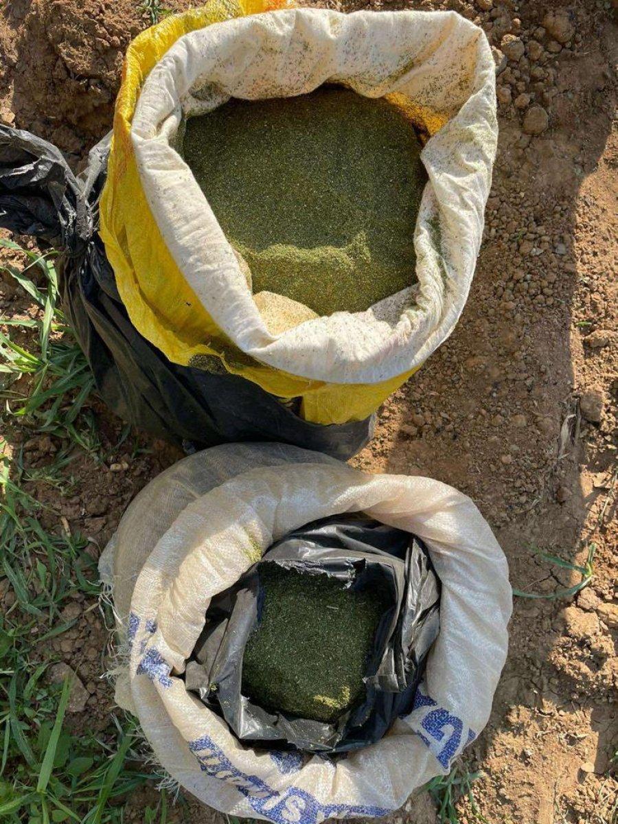 Eren Abluka-34 Operasyonu'nda 8 milyon kök kenevir ele geçirildi