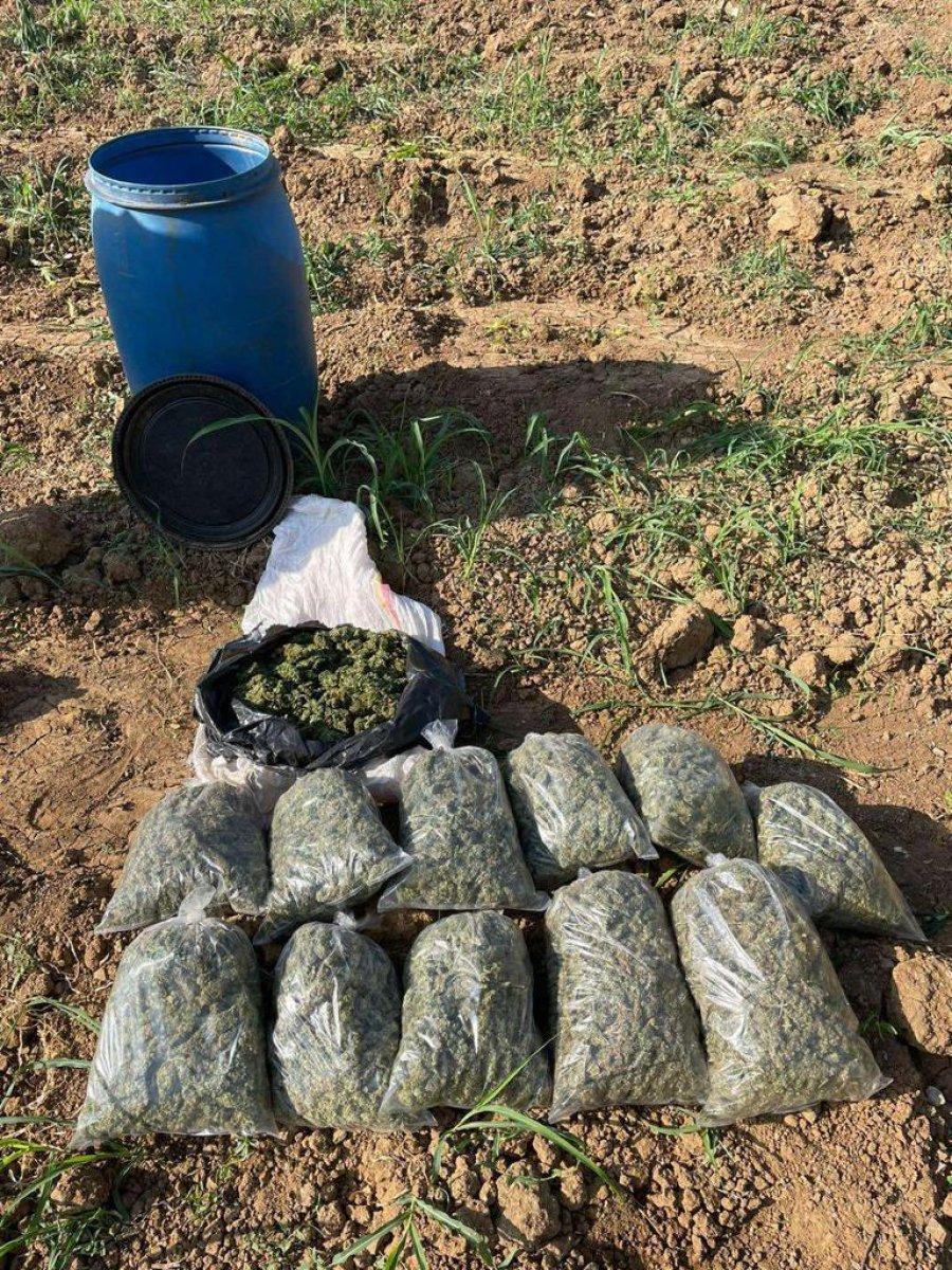 Eren Abluka-34 Operasyonu'nda 8 milyon kök kenevir ele geçirildi