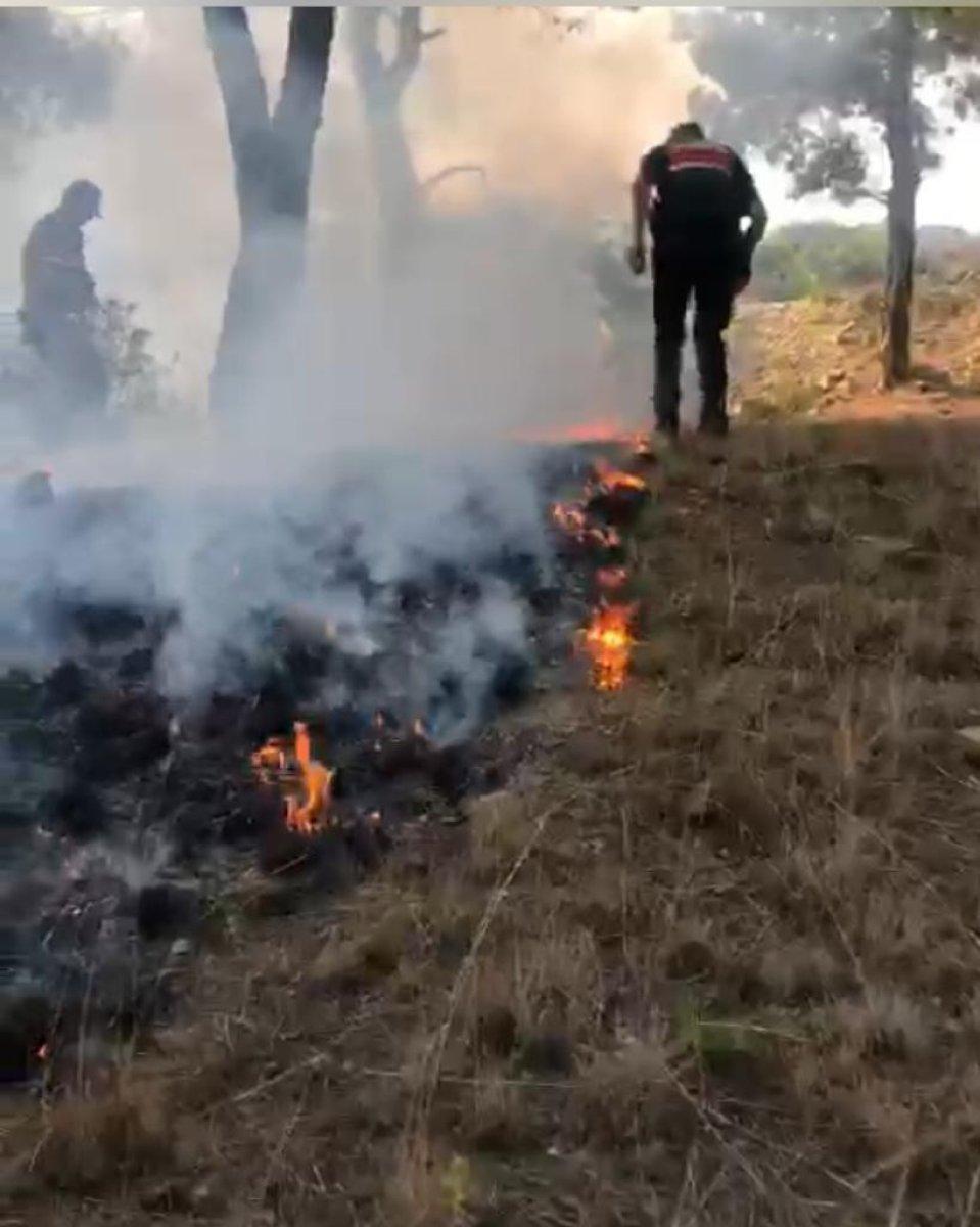 Adana'da askerler yangına ayaklarıyla müdahale etti