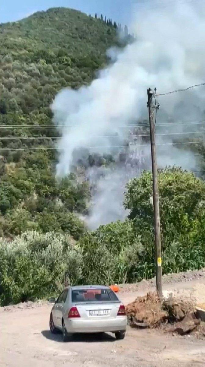 Kocaeli'de orman yangını: 1 kişi gözaltında