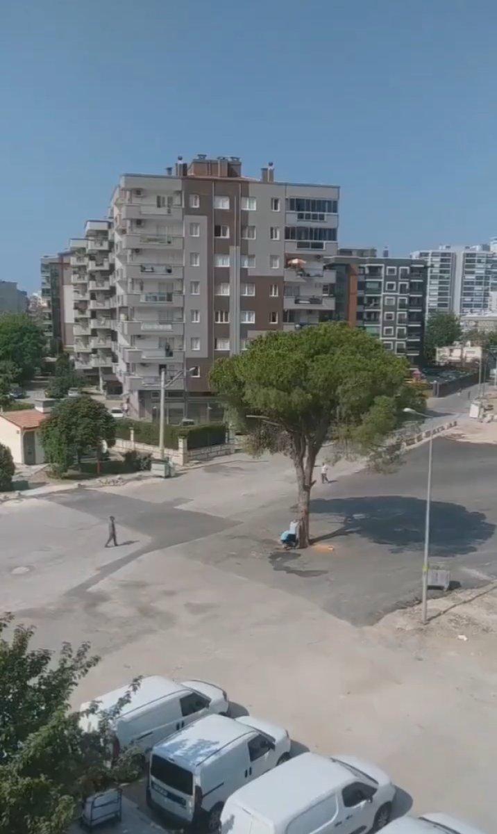 Murat Kurum, İzmir'deki ağaç kesimine tepki gösterdi