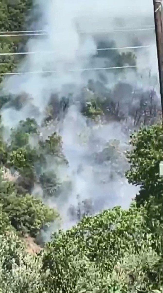 Kocaeli'de orman yangını: 1 kişi gözaltında