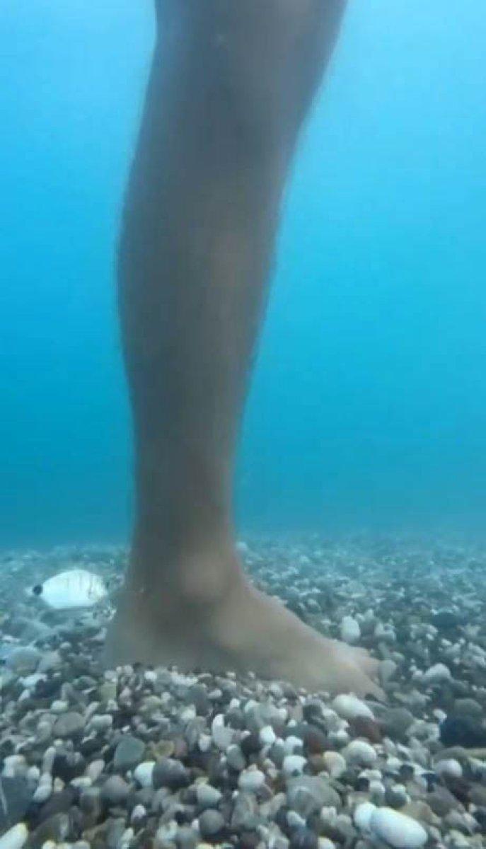 Antalya’da balık ısırmaları arttı: Ayak bakımı yapıyorlar