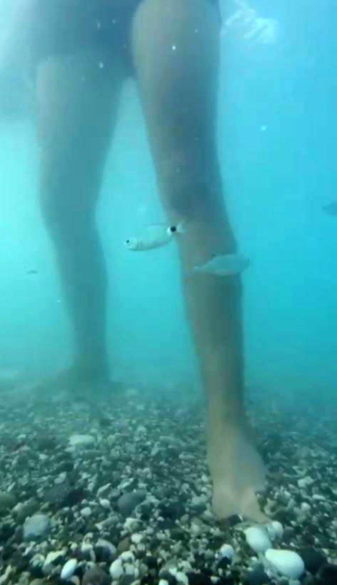 Antalya’da balık ısırmaları arttı: Ayak bakımı yapıyorlar