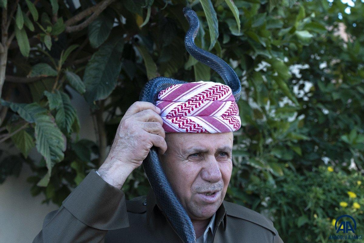 Evinde 60 yılan besliyor: Amacım onları ölümden kurtarmak