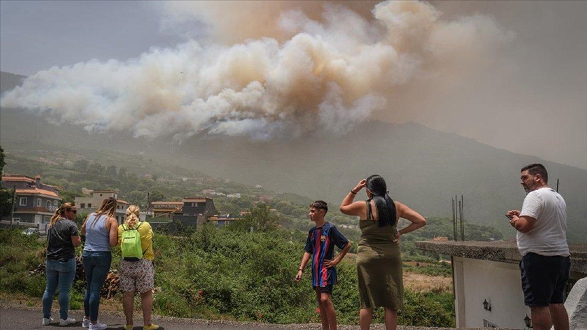 Avrupa'da Roma'nın 5 katı büyüklüğünde alan küle döndü