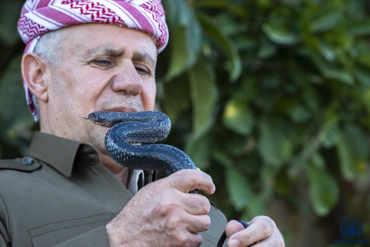 Evinde 60 yılan besliyor: Amacım onları ölümden kurtarmak