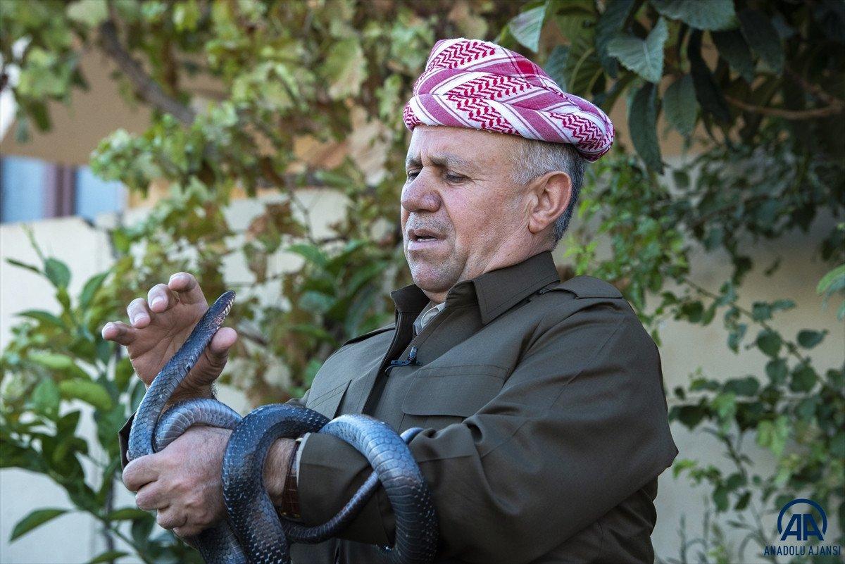 Evinde 60 yılan besliyor: Amacım onları ölümden kurtarmak