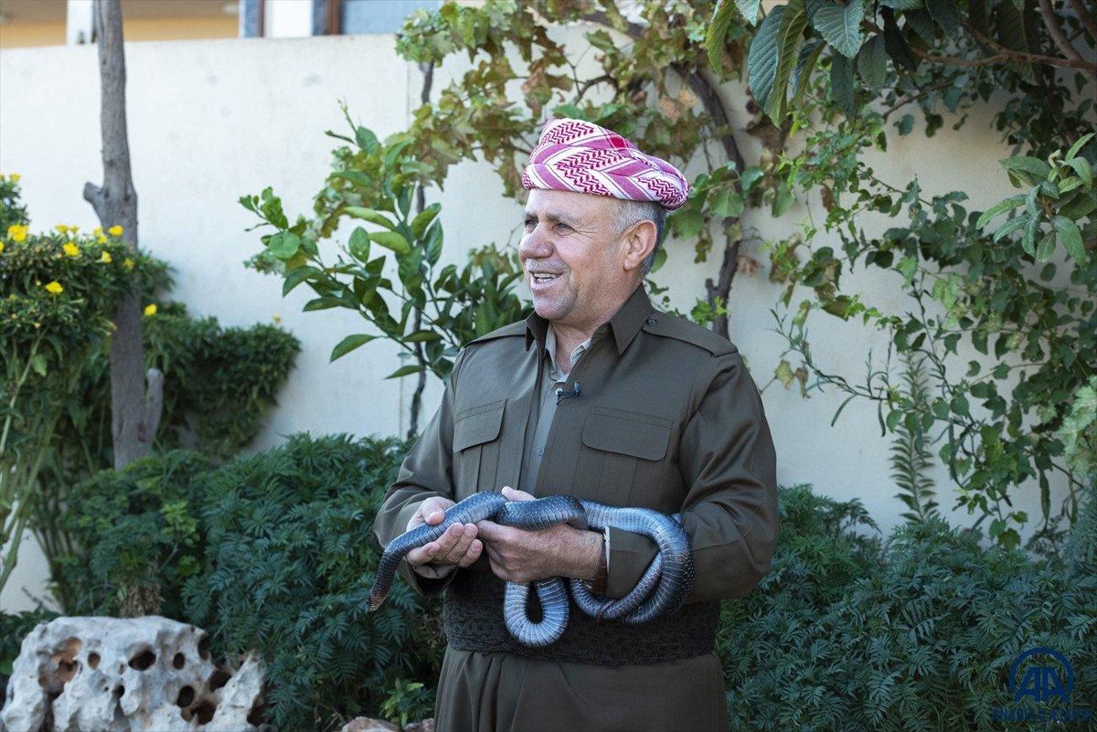 Evinde 60 yılan besliyor: Amacım onları ölümden kurtarmak