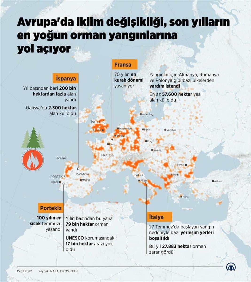 Avrupa'da Roma'nın 5 katı büyüklüğünde alan küle döndü